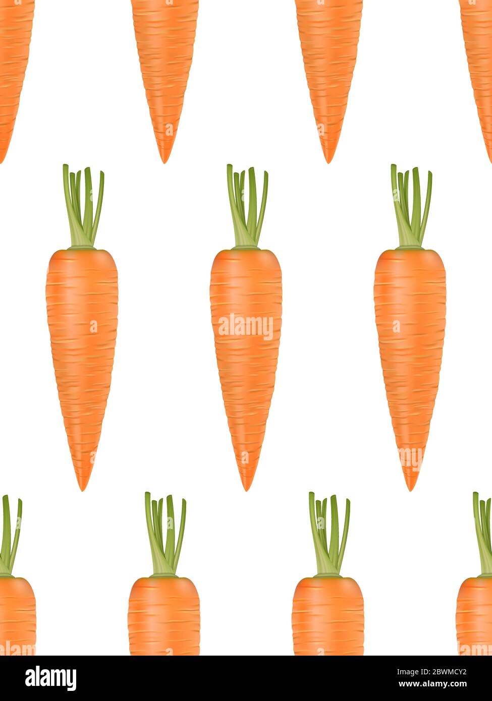 Vector seamless pattern with realistic carrots on white. Stock Vector