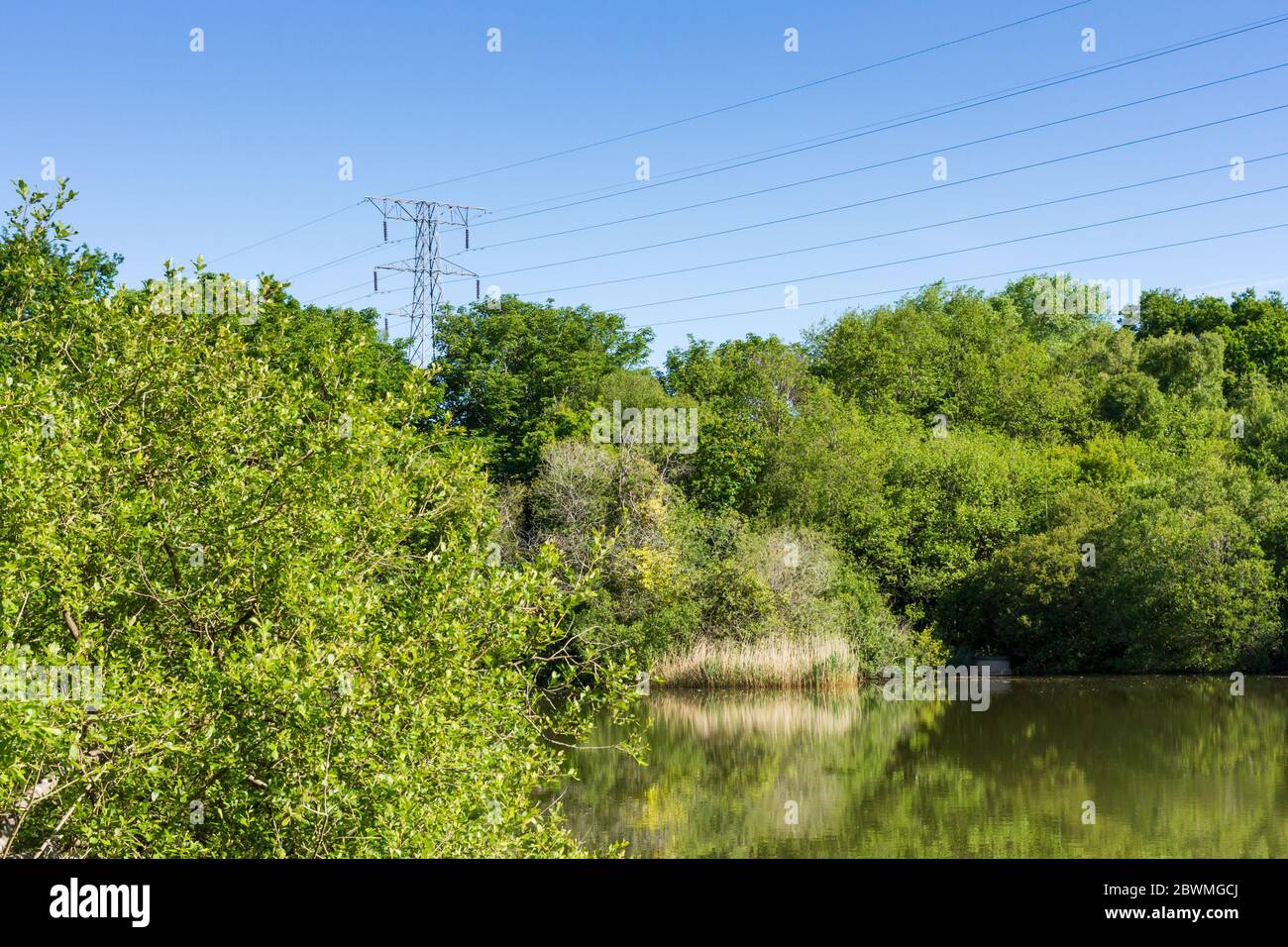 View of a lake and trees at Alder Hills Nature Reserve in Dorset, with electricity pylon & power lines Stock Photo