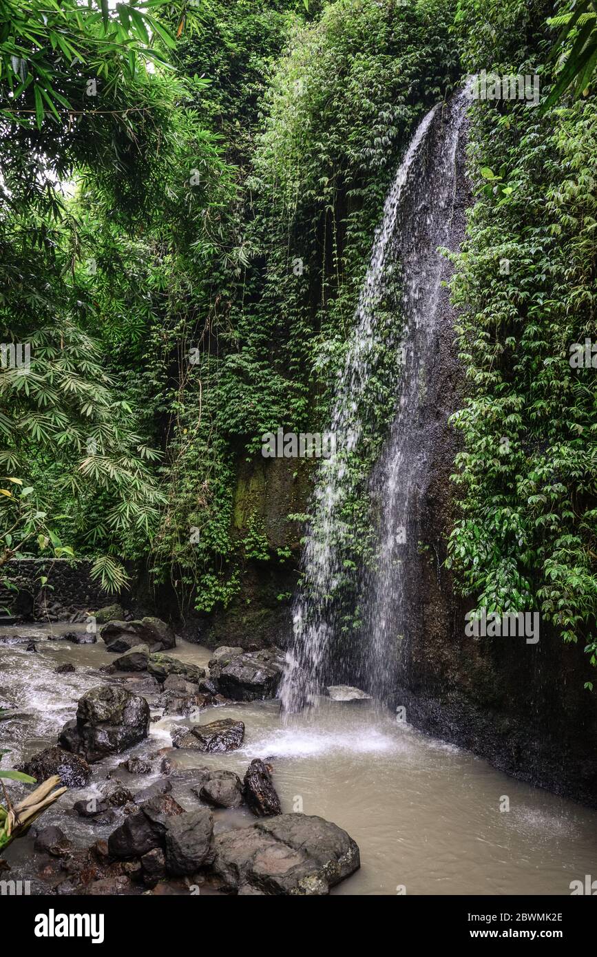 The beautiful Tibumana Waterfall (air terjun Tebumana) near Ubud 