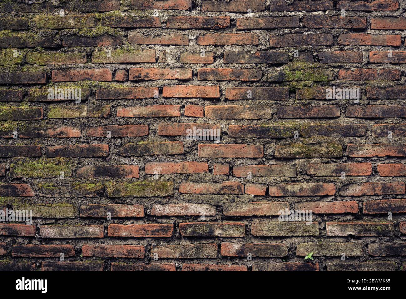 Old brick moss-covered wall. Grunge background Stock Photo