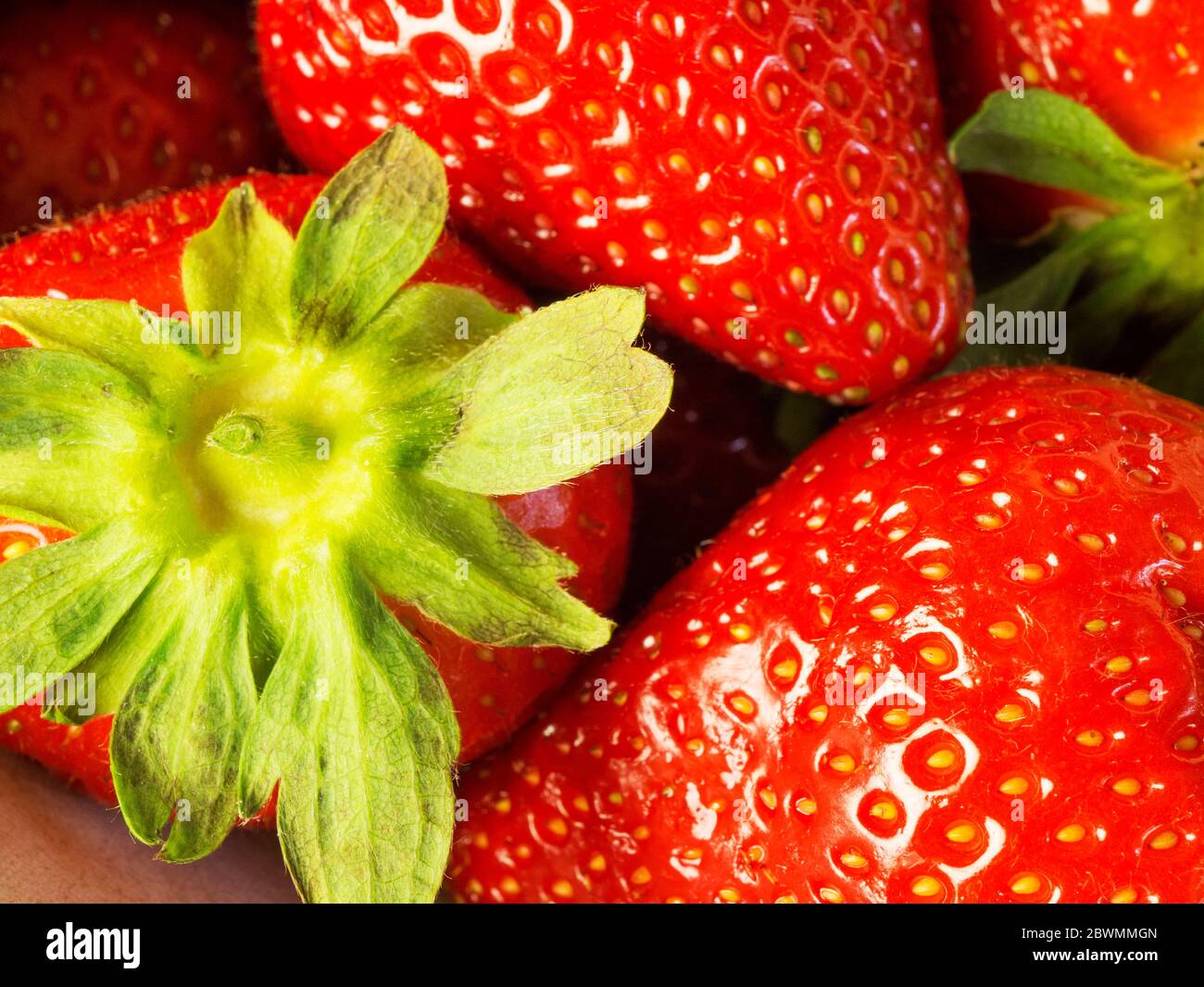 Strawberry hires stock photography and images Alamy
