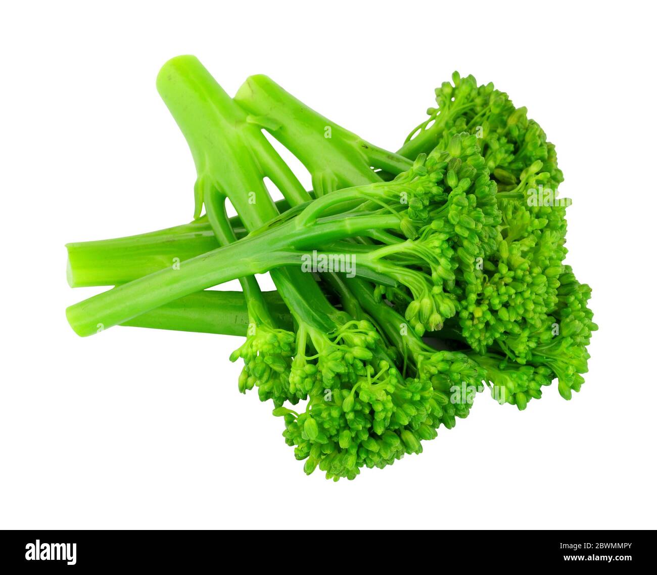 Steamed Broccoli, White Background High Resolution Stock Photography ...