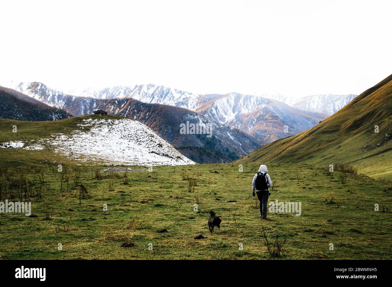 Woman traveler with dog walk on green meadow next to mountain range which covered with gray clouds. Back view. Caucasus, Georgia Stock Photo