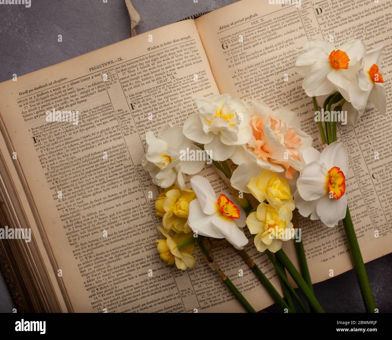 Narcissi and book Stock Photo