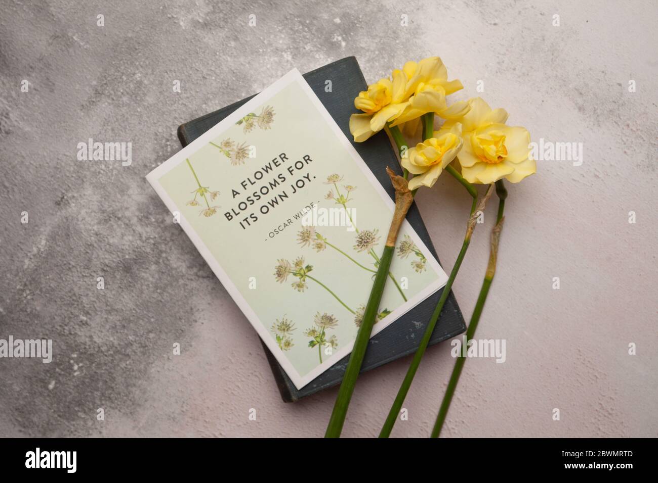 Flowers and book Stock Photo