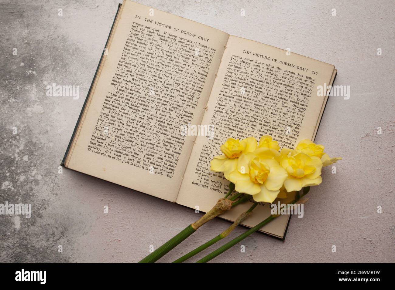 Daffodils and book still life Stock Photo