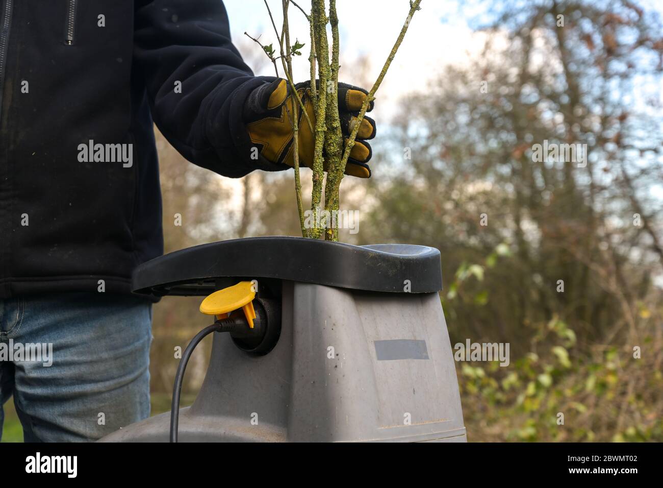 Man is chopping pruning waste with an electric garden shredder, clearing up old branches, copy space Stock Photo