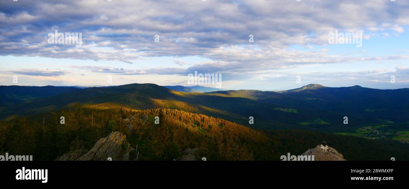 Large Osser, Germany / Czech: Panorama in the upper Bavarian forest during dawn Stock Photo