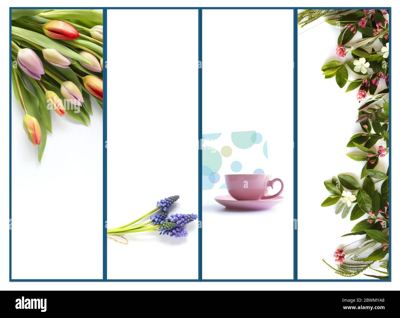 Collage of beautiful photos of summer flowers, card and cup of tea on white background. Flat lay. Greeting, Mothers day, Birthday, Valentines, invitation, celebration, anniversary card. Spring summer floral border with copy space Stock Photo