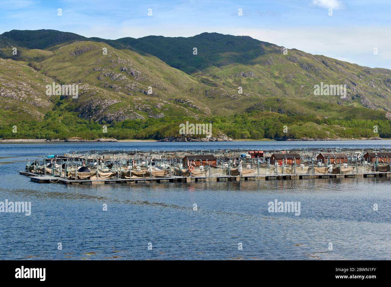 WEST COAST HIGHLANDS SCOTLAND A SALMON FISH FARM IN THE SEA LOCH AILORT A LARGE FISH HATCHERY Stock Photo