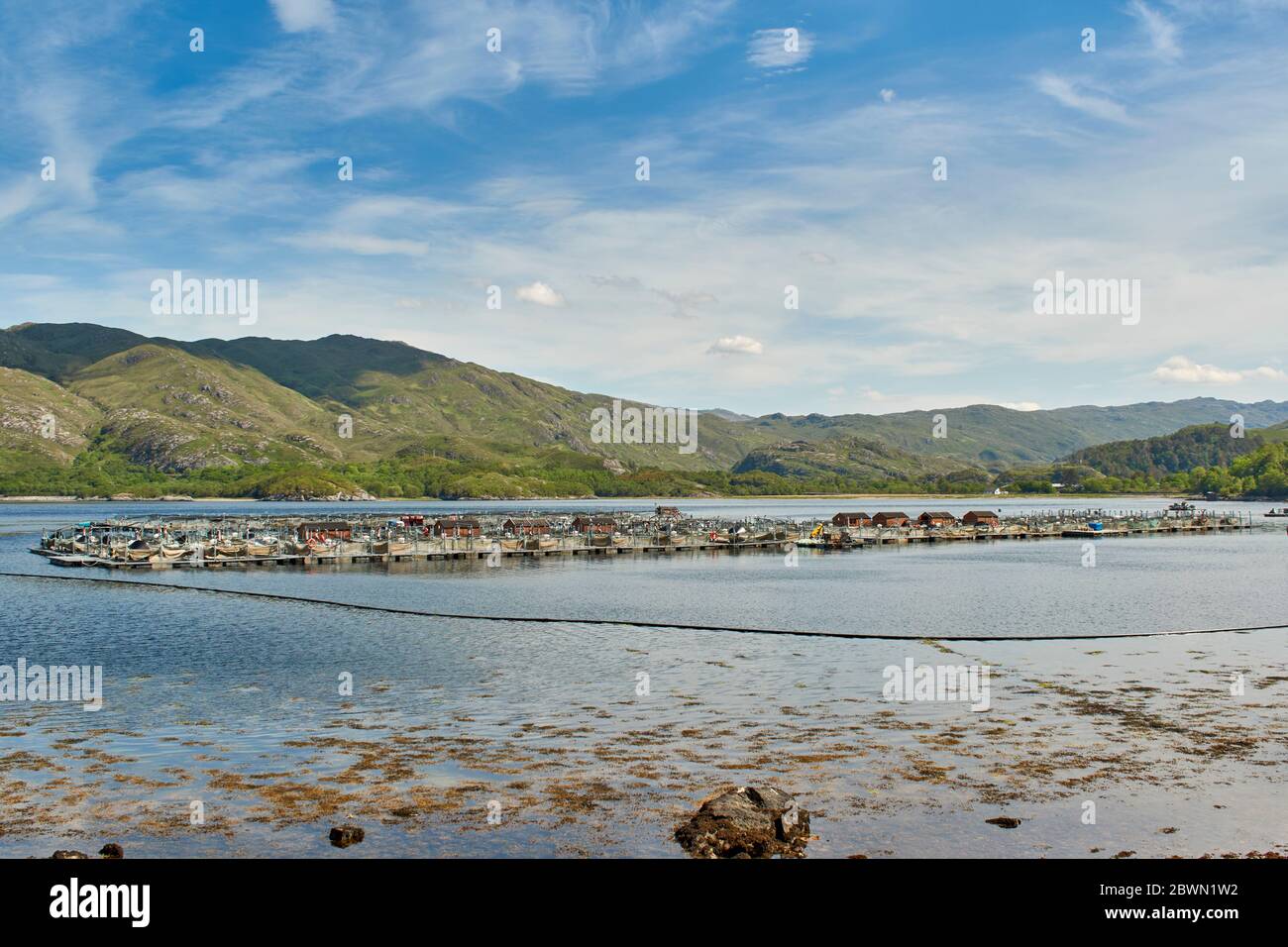 WEST COAST HIGHLANDS SCOTLAND VIEW OF A SALMON FISH FARM IN THE SEA LOCH AILORT A LARGE FISH HATCHERY Stock Photo