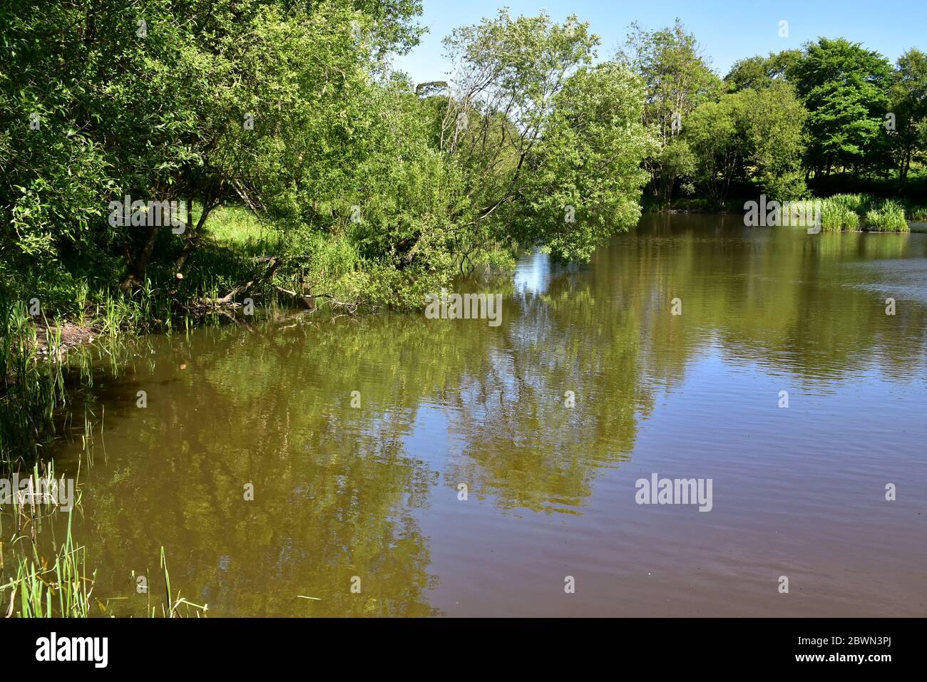 Top lake at Cliviger fish ponds owned by Todmorden Angling Club. Stock Photo