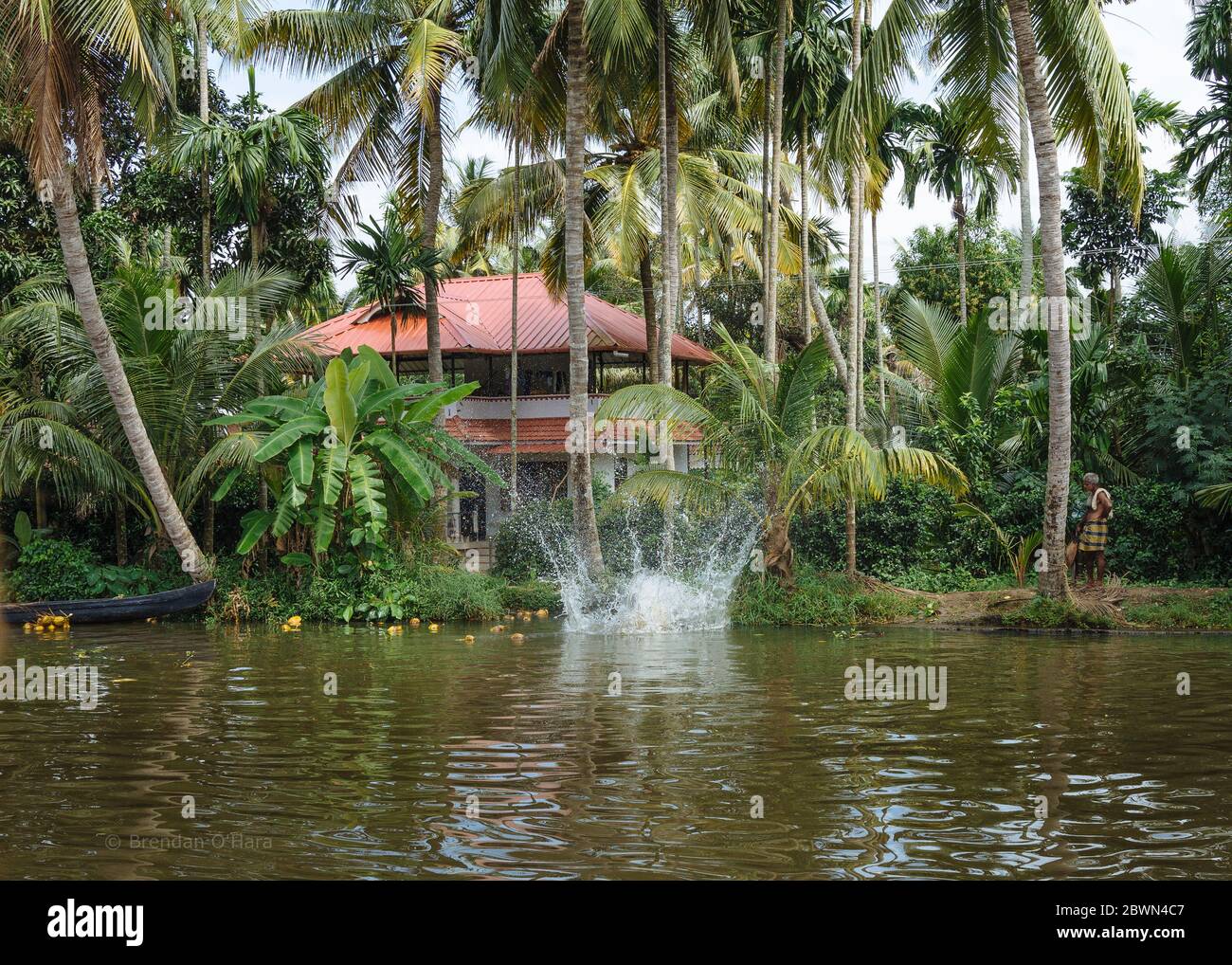 Brackish waters hires stock photography and images Alamy