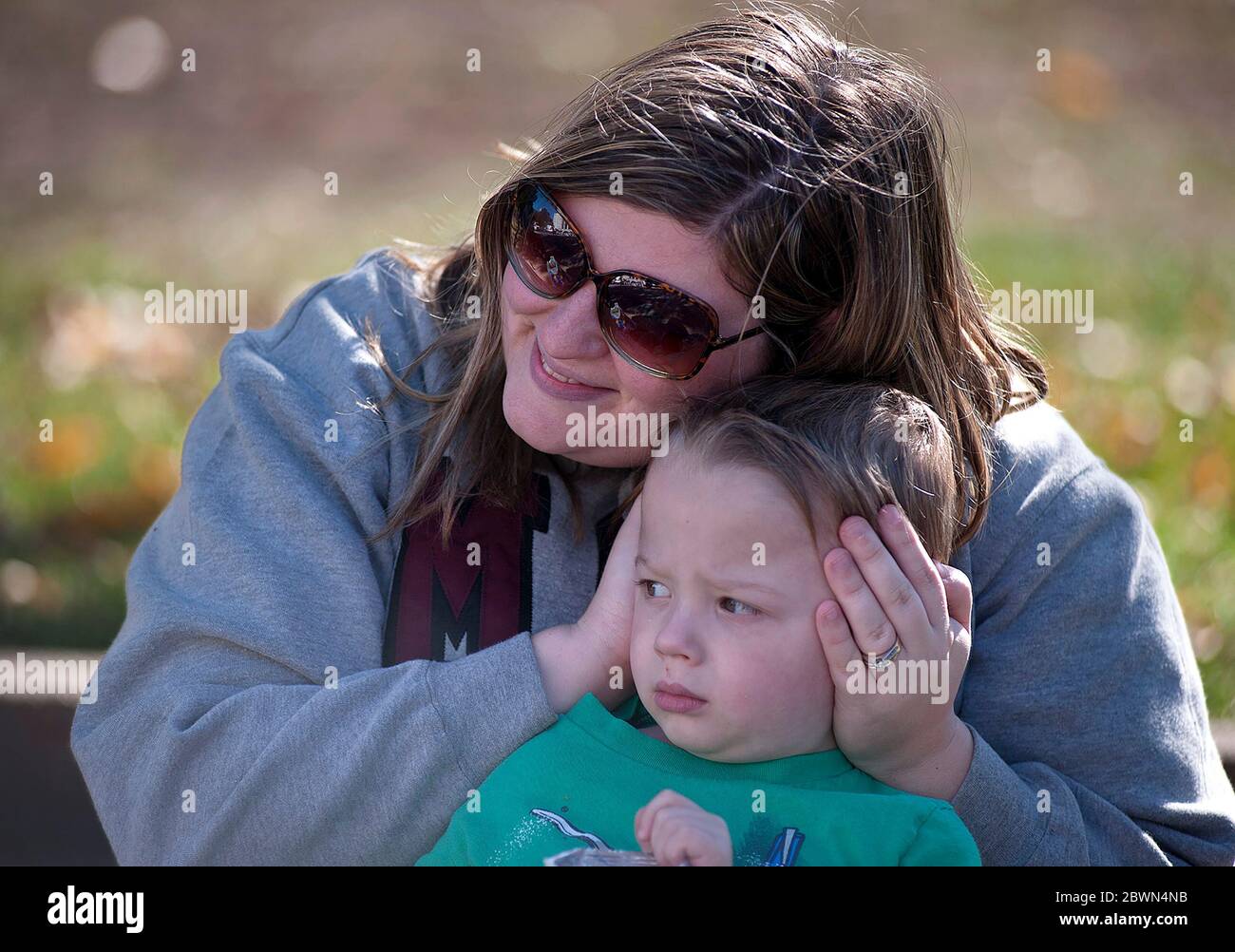 2013 St. Louis Veterans Day Parade Stock Photo Alamy