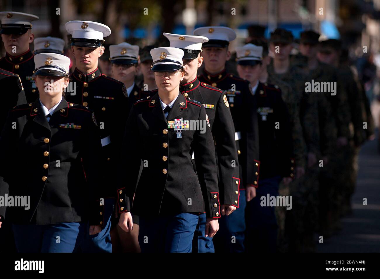 Veterans Day Parade High Resolution Stock Photography And Images Alamy