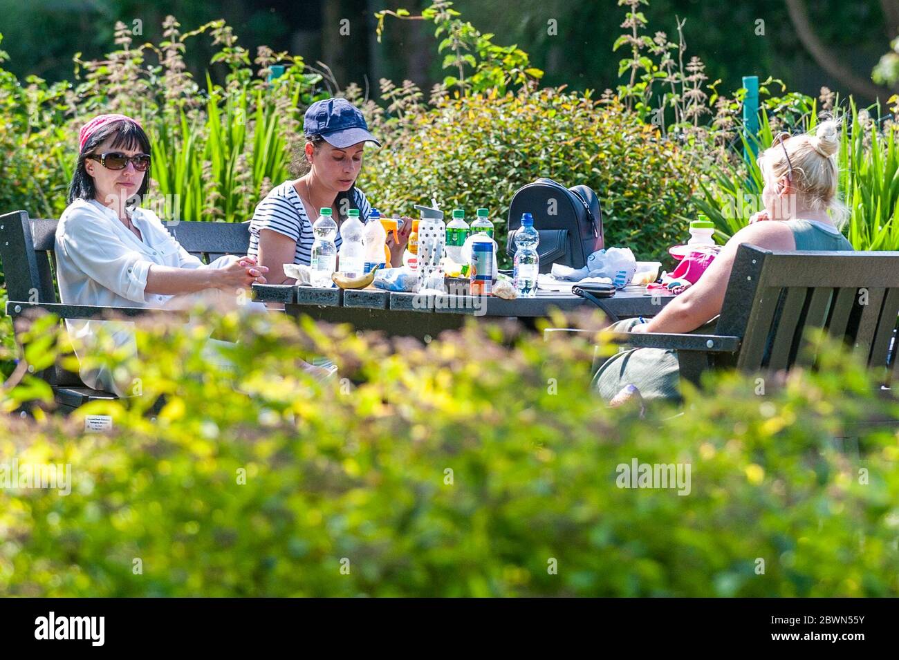 Bandon, West Cork, Ireland. 2nd June, 2020. People enjoy the Riverview Park in bandon this afternoon as temperatures hit 26C and the pollen count was very high. Credit: AG News/Alamy Live News Stock Photo