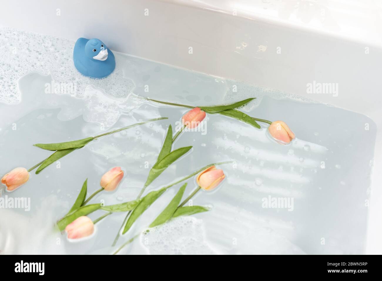 Bathtube full of water with flowers and rubber duck at home Stock Photo