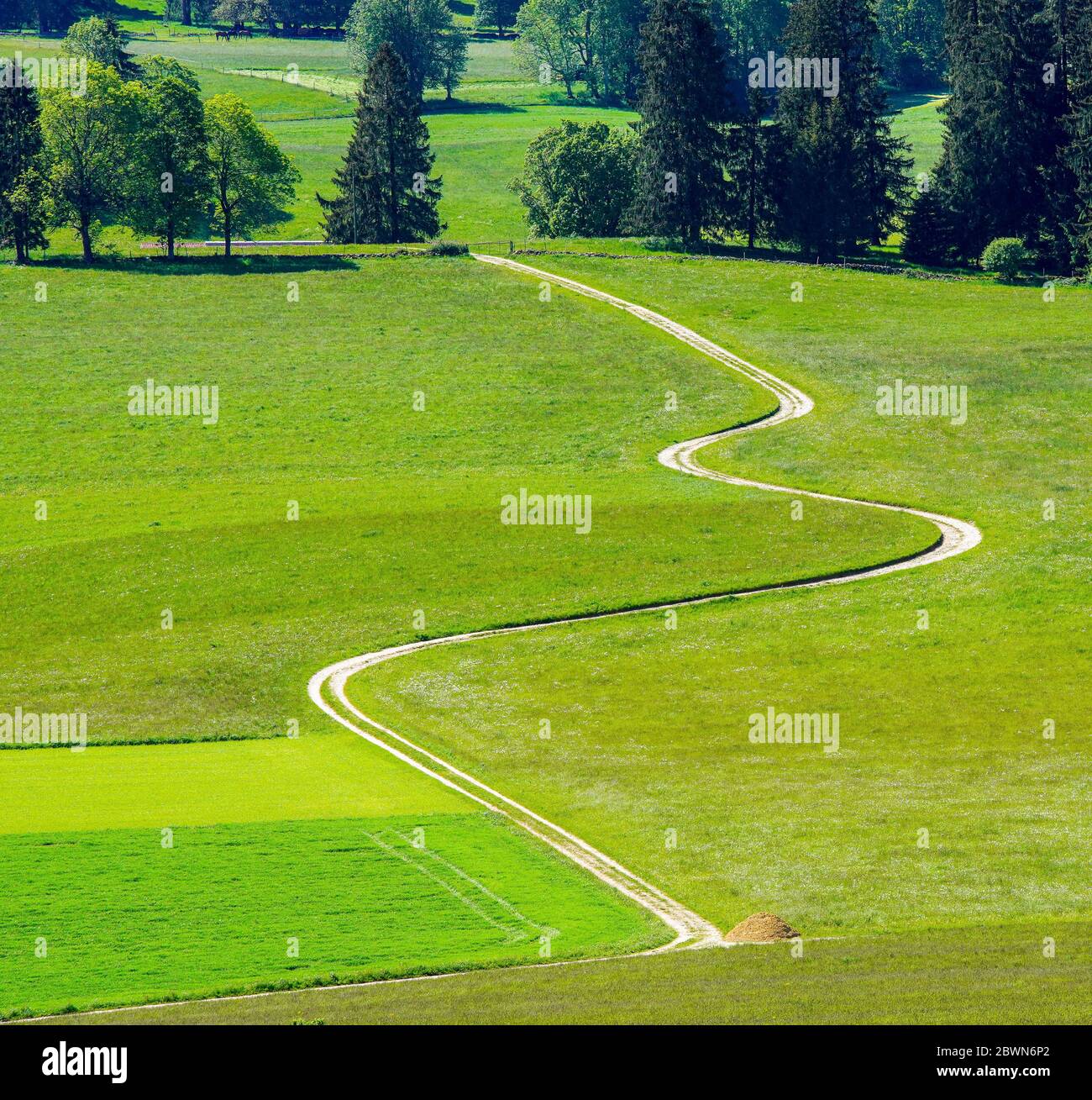 Top view of a curve road through a pasture during summer season, Jura Mountains, Switzerland. Stock Photo