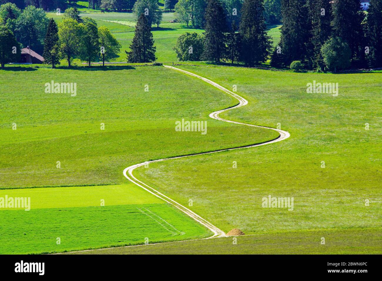 Top view of a curve road through a pasture during summer season, Jura Mountains, Switzerland. Stock Photo