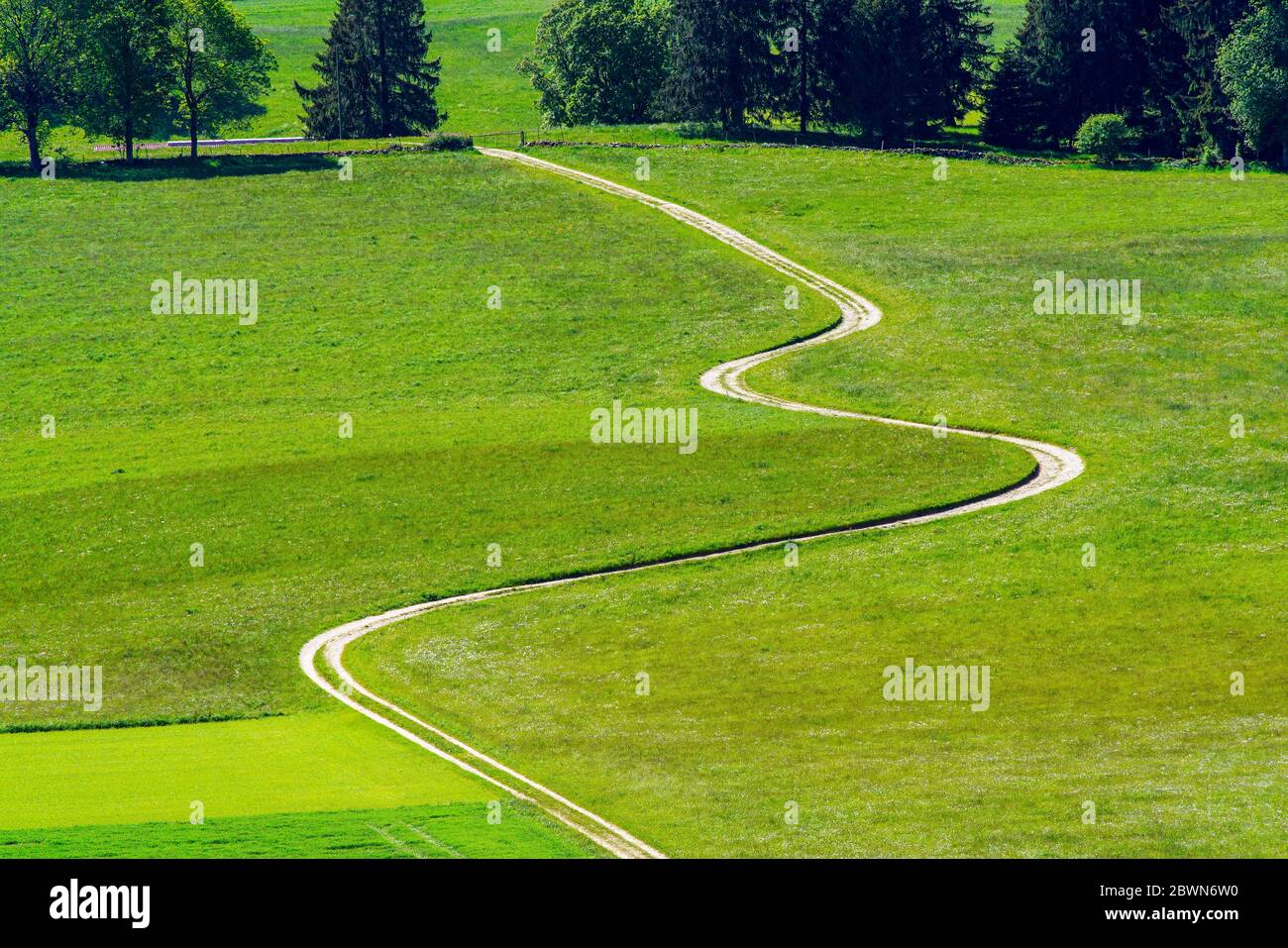 Top view of a curve road through a pasture during summer season, Jura Mountains, Switzerland. Stock Photo