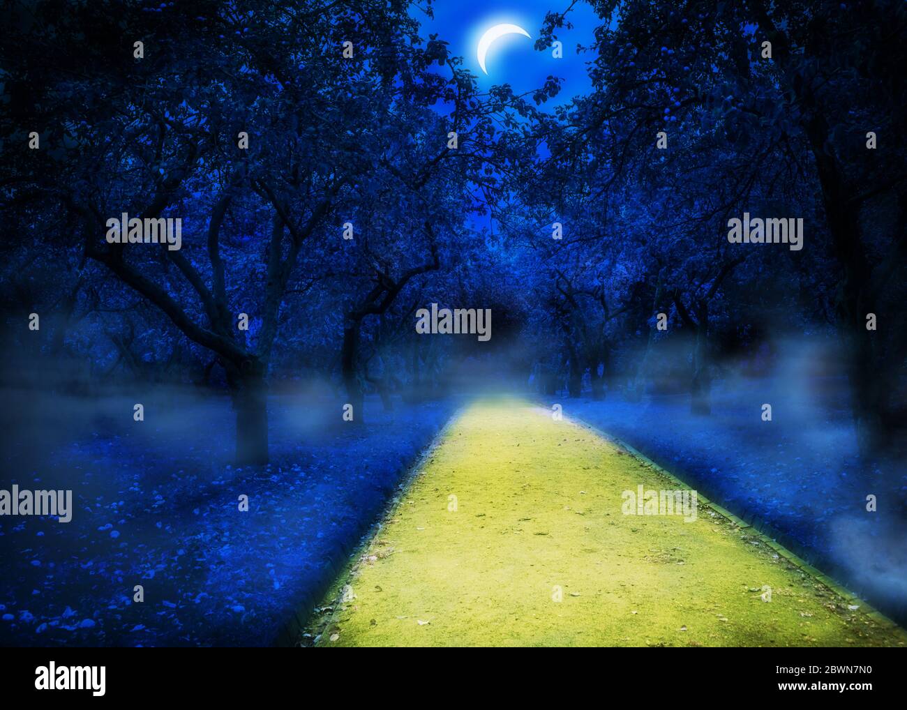 Abstract blue apple trees in the night park background Stock Photo Alamy