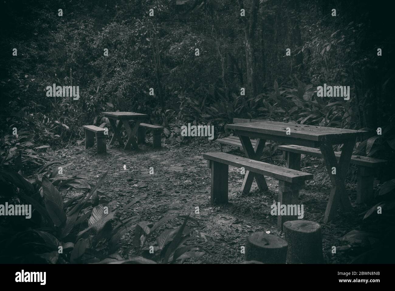 Empty benches tables hi-res stock photography and images - Alamy