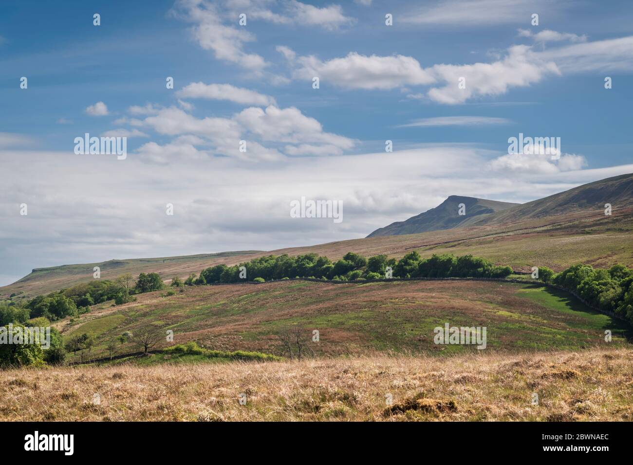 A summer three images HDR picture of Wild Boar Fell, in the Yorkshire Dales National Park, taken from Wharton Fell in Cumbria, England. 27 May 2020 Stock Photo