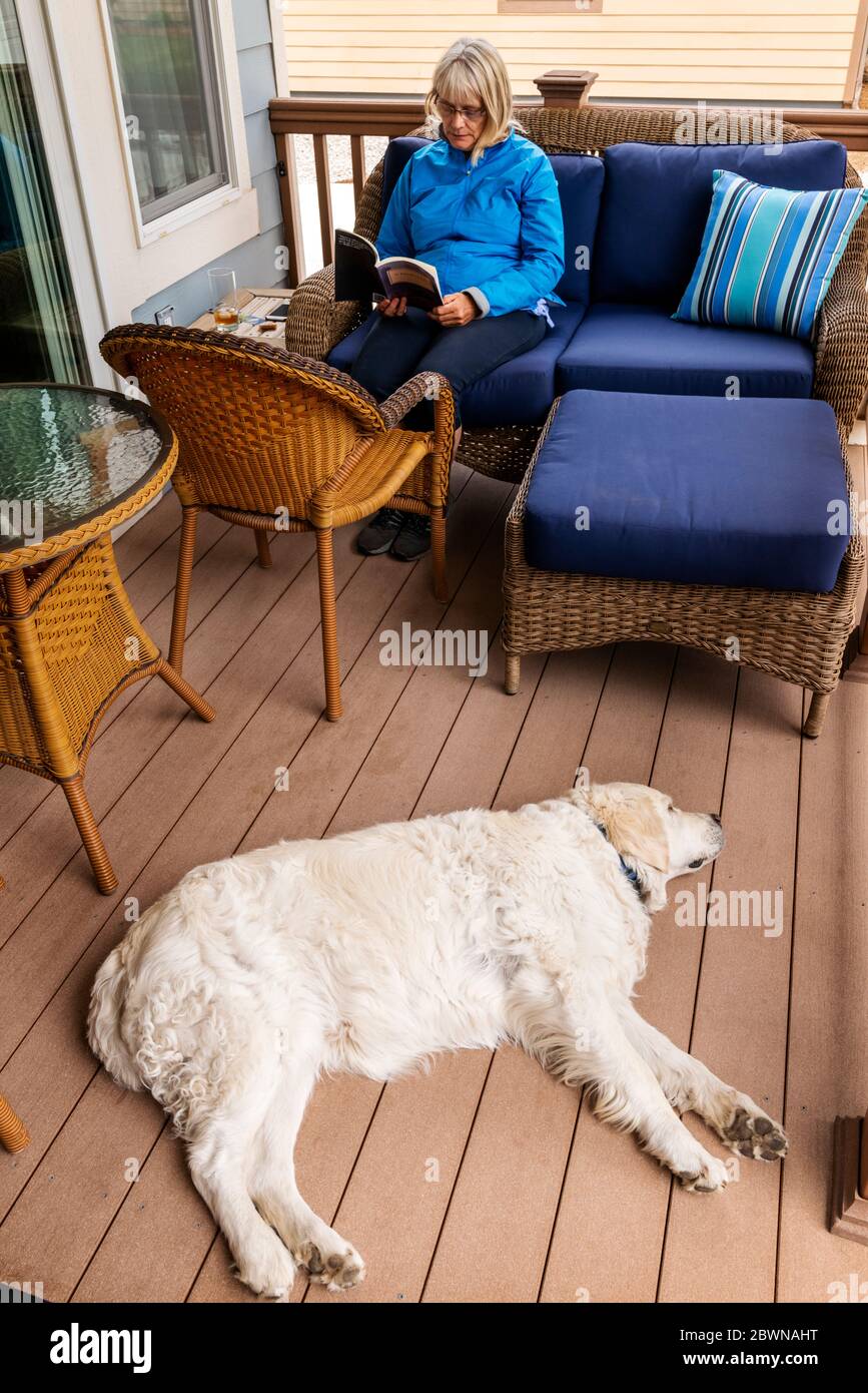Senior woman reading a book on an outside residential patio with platinum colored Golden Retriever dog Stock Photo