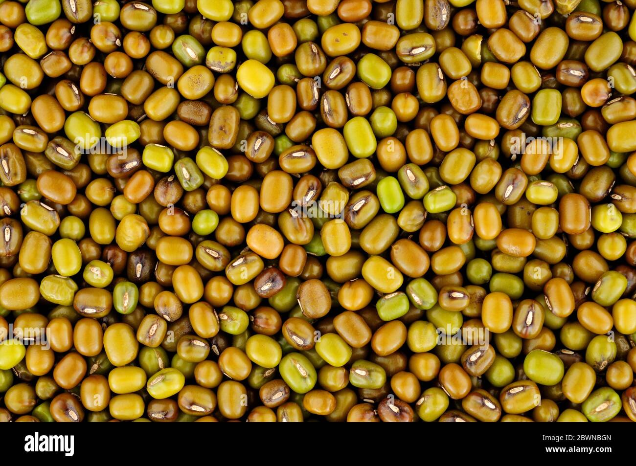 Raw uncooked mung bean background, also known as green gram and maash Stock Photo