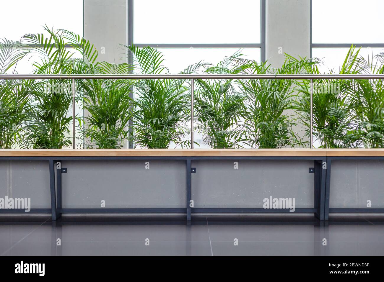 Modern office lobby bench with plants frontal shot corporate calm green area, empty waiting room seats abstract concept, nobody no people Stock Photo