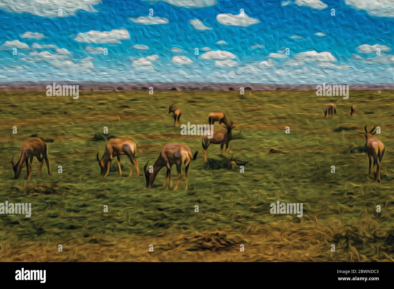 Serengeti plain gazelle prey hi-res stock photography and images - Alamy