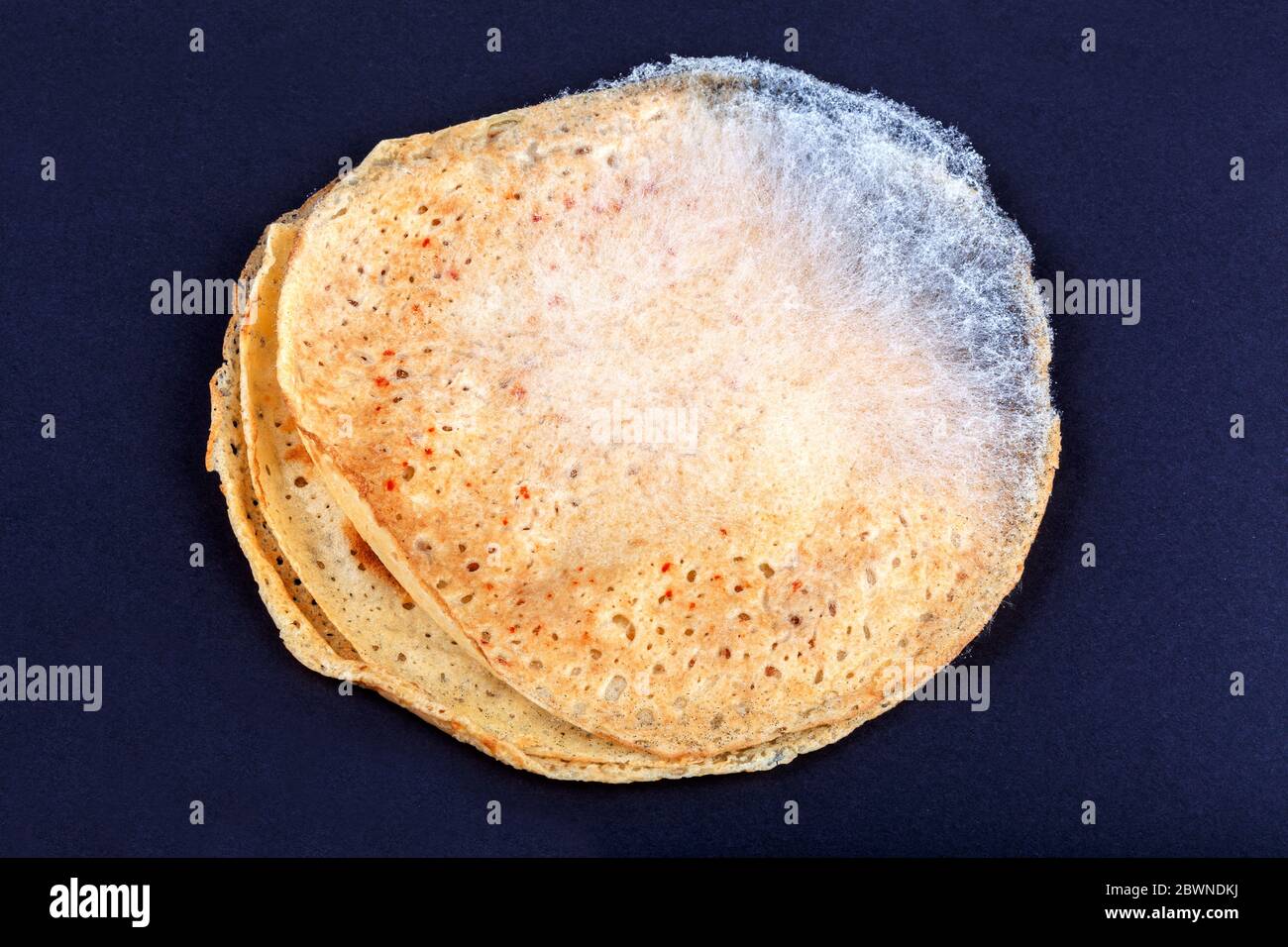 Spoiled moldy pancake, food gone bad concept. Fungal mold spores growing on round pastry surface on dark background. Edibles, products expiration date Stock Photo