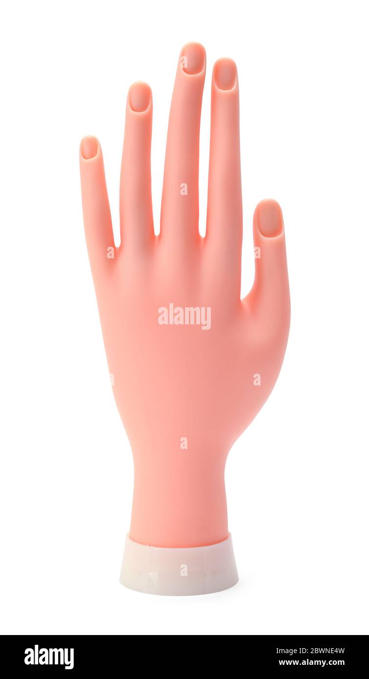 Plastic Mannequin Hand Isolated on White Background. Stock Photo