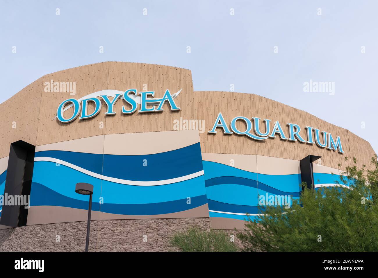 Scottsdale, AZ - December 2, 2019: OdySea Aquarium is the largest aquarium in the Southwest United States. Stock Photo