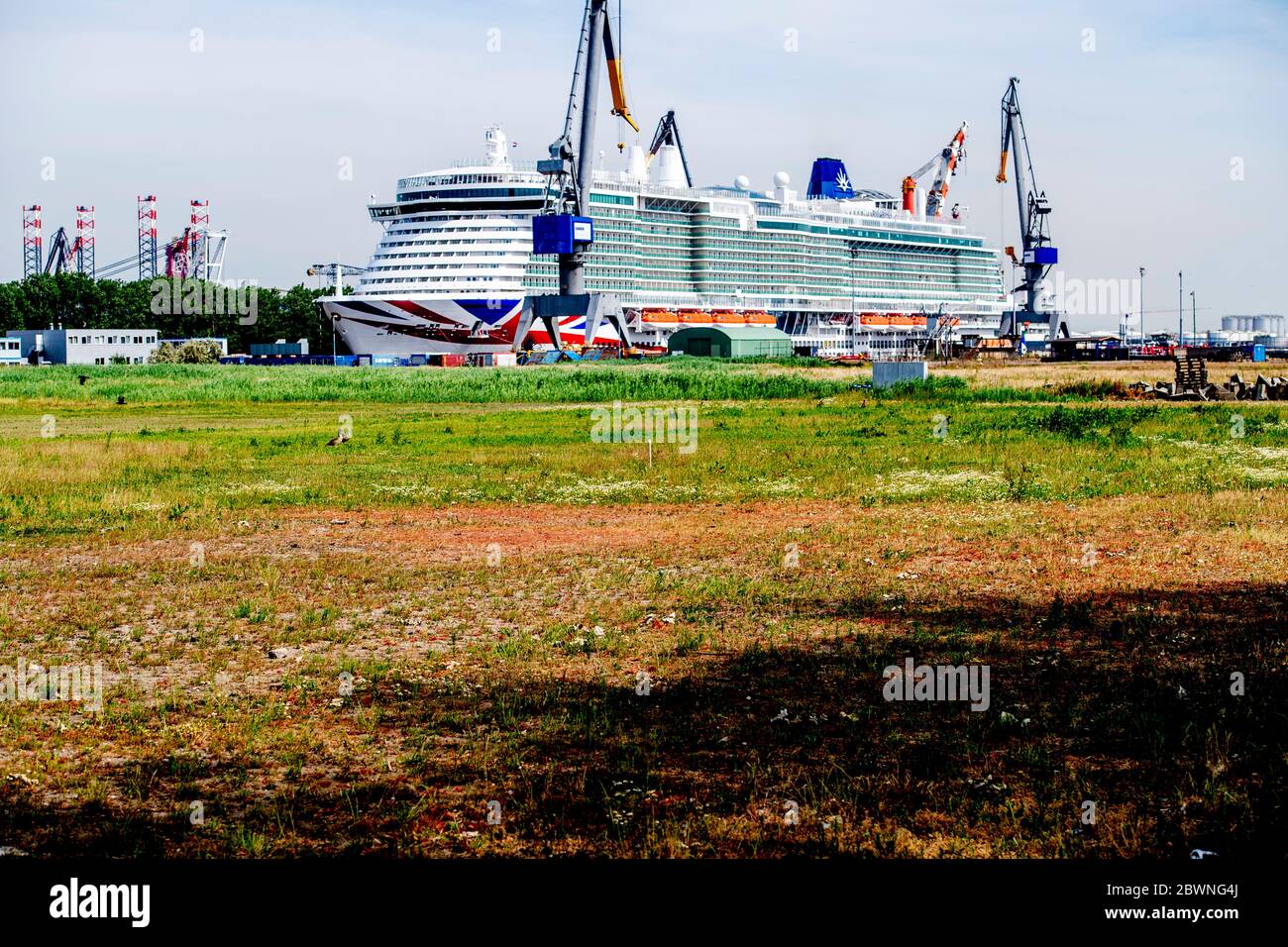First gaspowered cruise ship docks at Rotterdam Iona, a brandnew 184