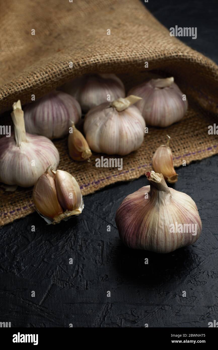 Fresh garlic cloves and garlic bulb on burlap. Organic garlic Stock
