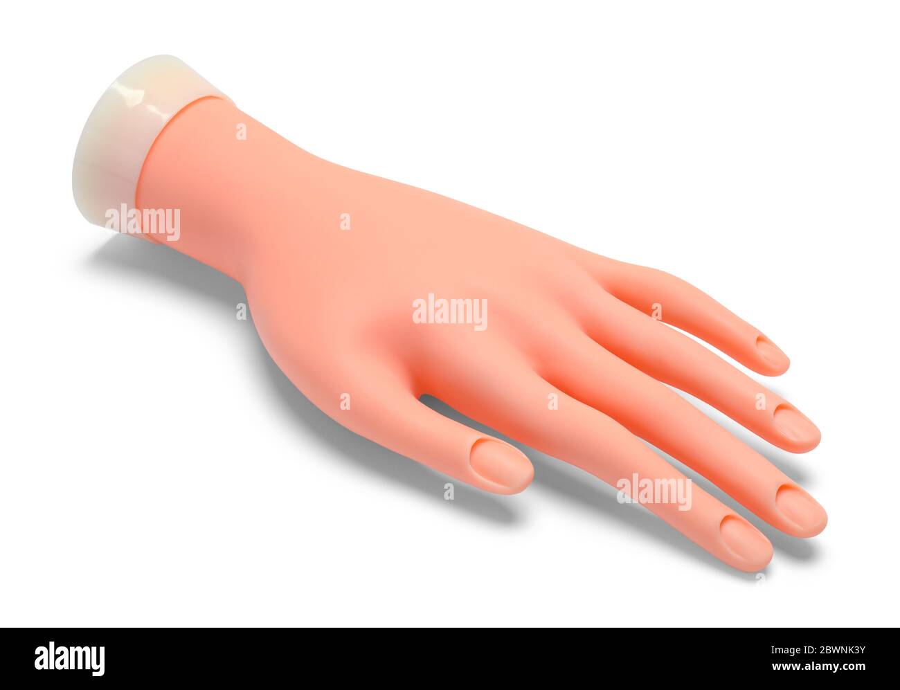 Rubber Mannequin Hand Isolated on White Background. Stock Photo