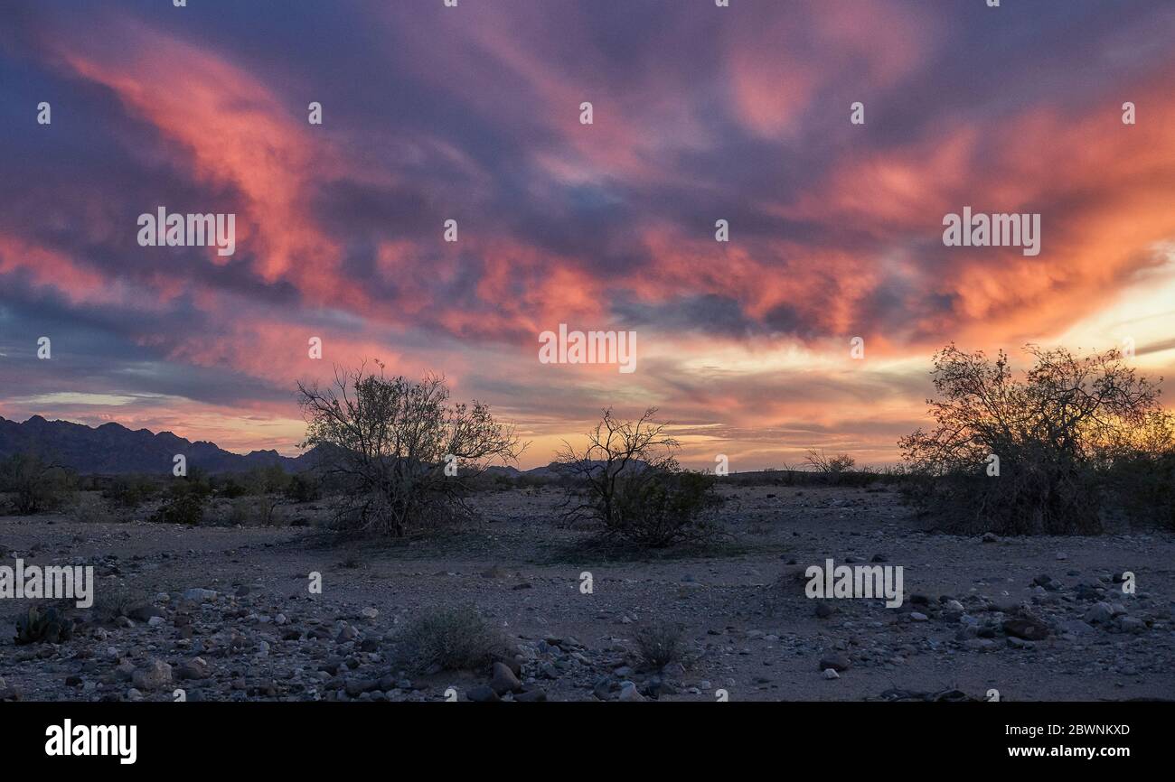 Sunset over the desert sands near the Indian Pass Wilderness in California. Stock Photo