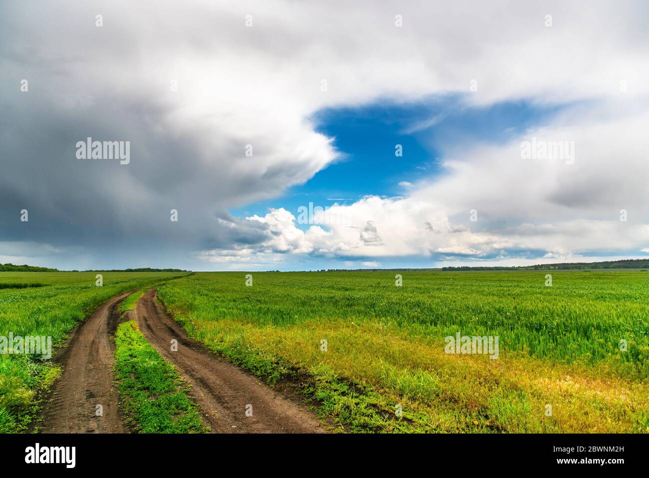 Summer Rural Backgrounds Beautiful rural summer hi-res stock photography and images - Alamy