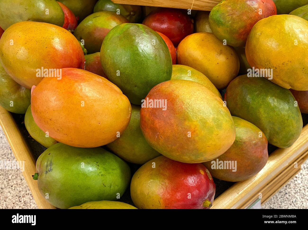Mangos in a bin at a grocery store Stock Photo Alamy