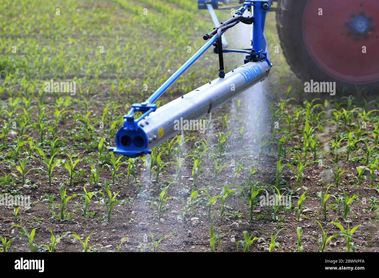 Hair, Deutschland. 02nd June, 2020. A farmer applies the phytosanitary glyphosate on a field, spraying, spraying, spraying, tractor, spraying whitewash, weed killing, poison, carcinogenic, agriculture, agriculture, agriculture, Monsanto, BAYER. | usage worldwide Credit: dpa/Alamy Live News Stock Photo