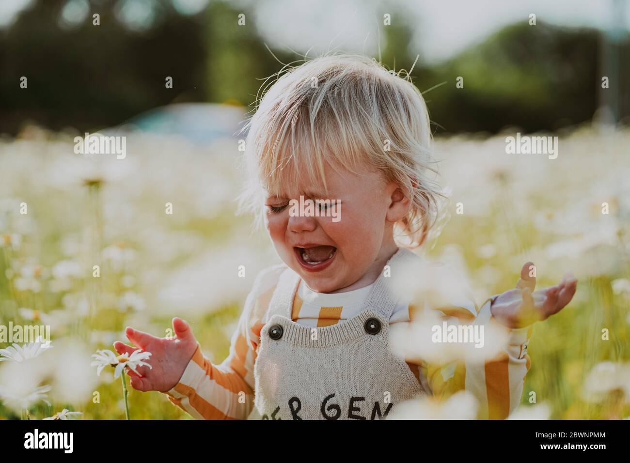 Toddler throwing temper tantrum hires stock photography and images Alamy
