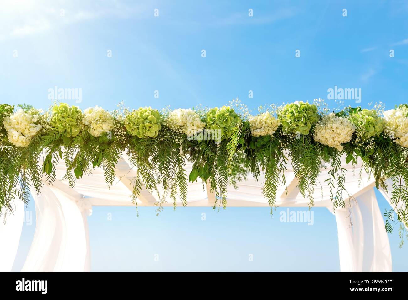 Wedding decoration with a luxurious arch of fresh flowers on a sunny day. Close-up. Copy space. Stock Photo