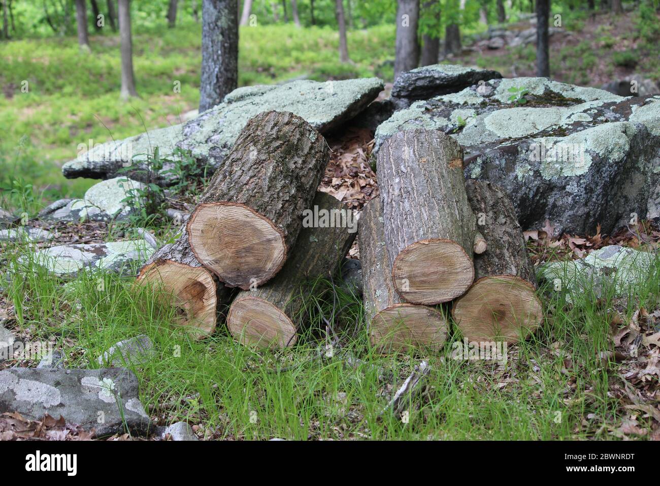 Logs and stones hi-res stock photography and images - Alamy