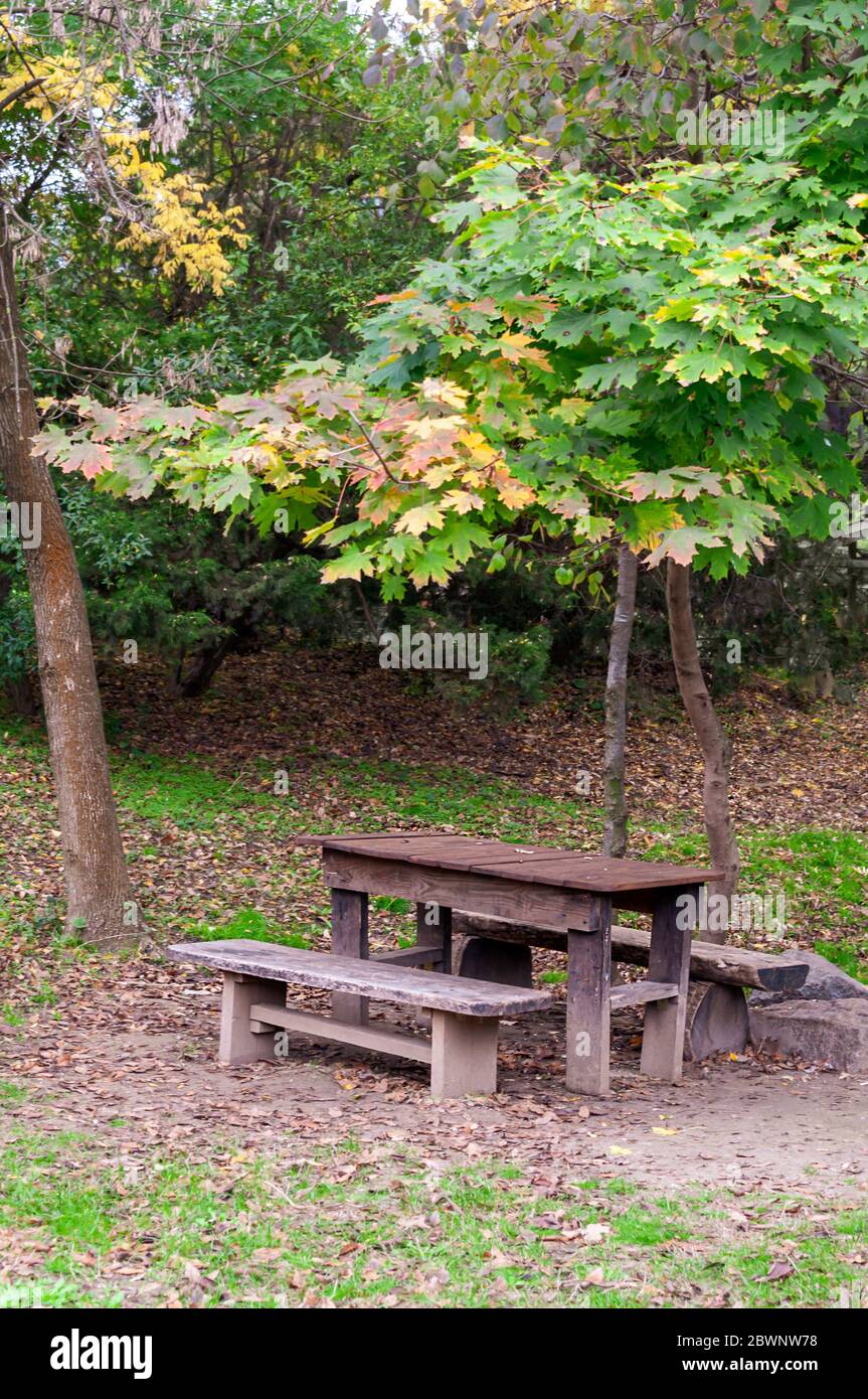 Empty benches table trees bench hi-res stock photography and images - Alamy