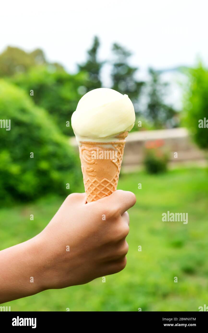 a young child's hand holding a green ice cream cone on a natur background Stock Photo