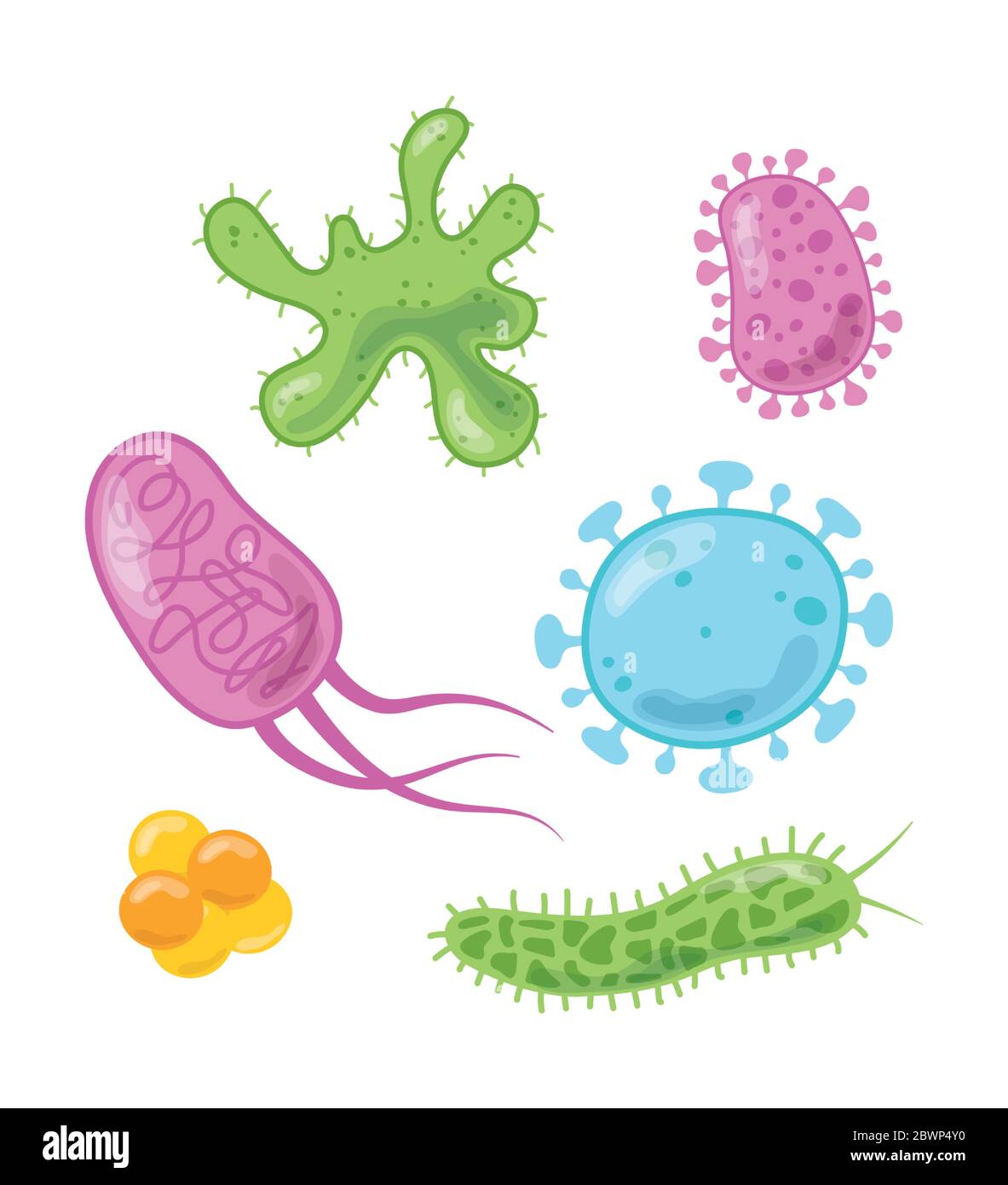 bacteria and virus cells molecule science disease set vector ...