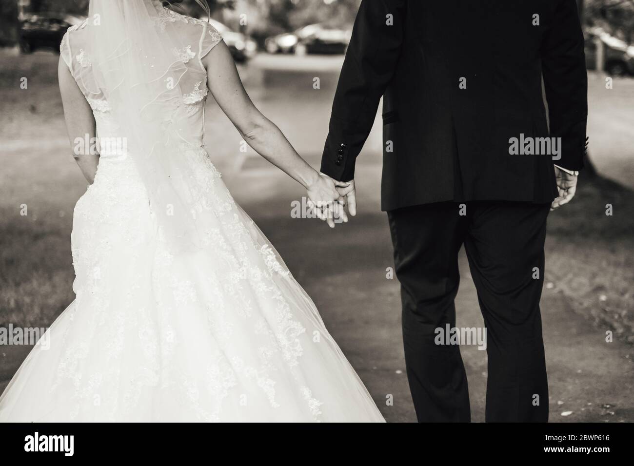 Black and white rear view of newlyweds walking in park. Bride and groom ...