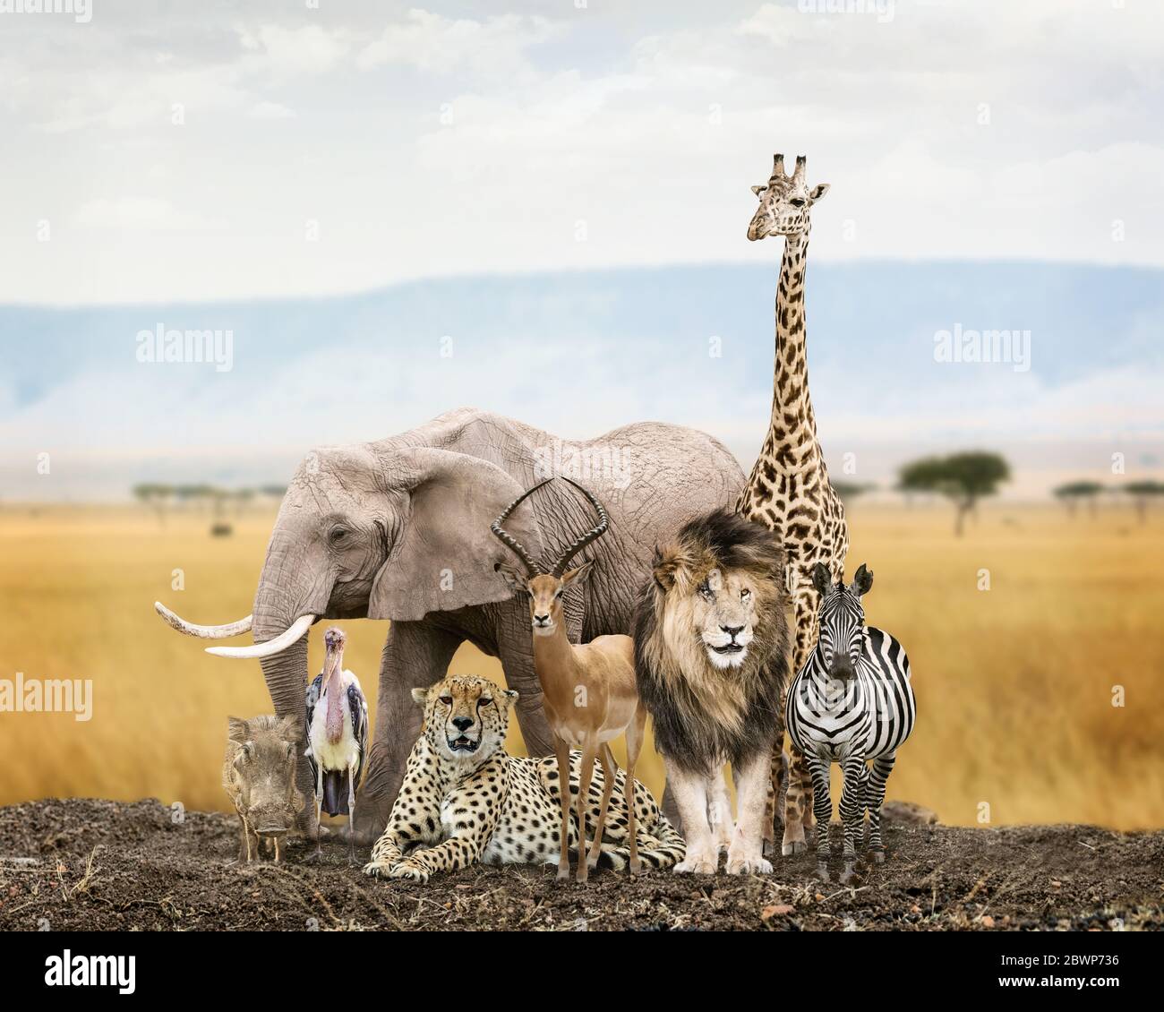 Large group of African safari wildlife animals together in Kenya grasslands Stock Photo
