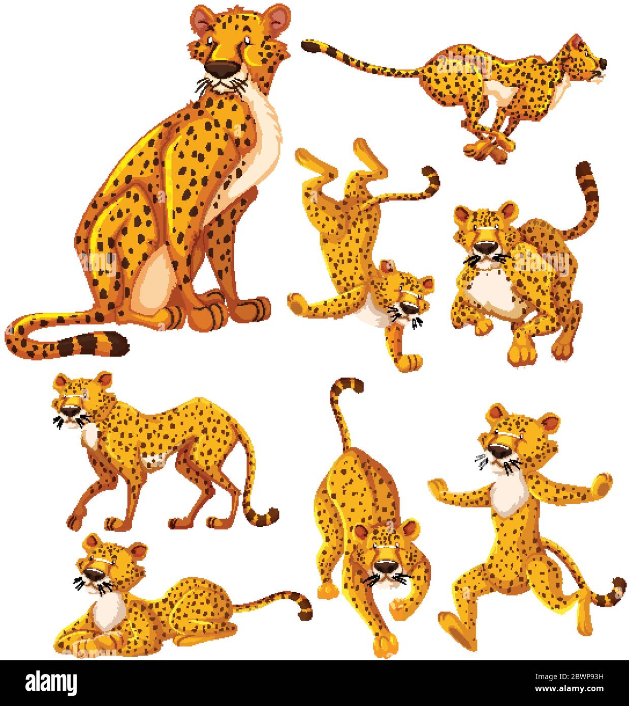 Set of cheetah cartoon character illustration Stock Vector Image & Art Alamy